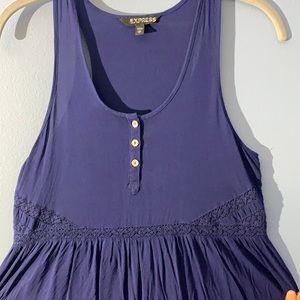 Express Navy Sun Dress